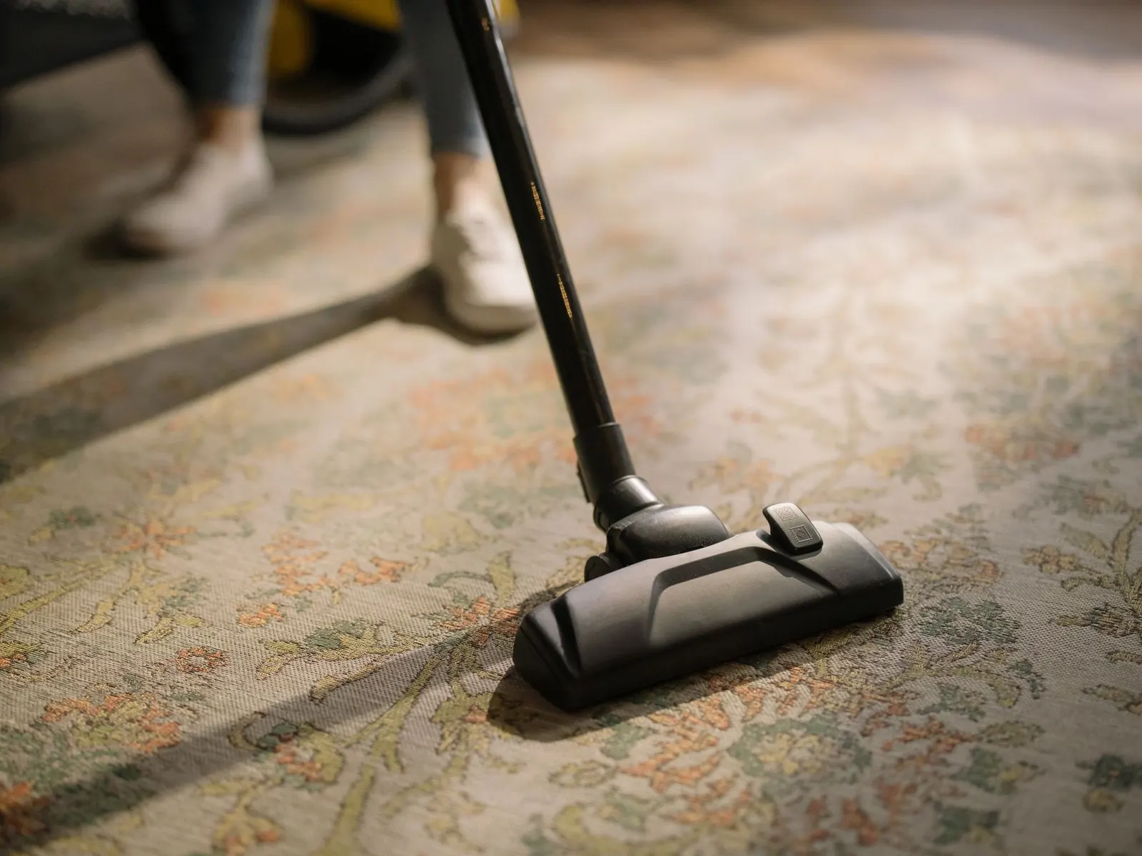Upholstery and Carpet Cleaning
